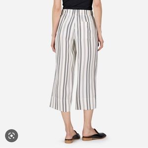 Everlane Silk Striped Pant